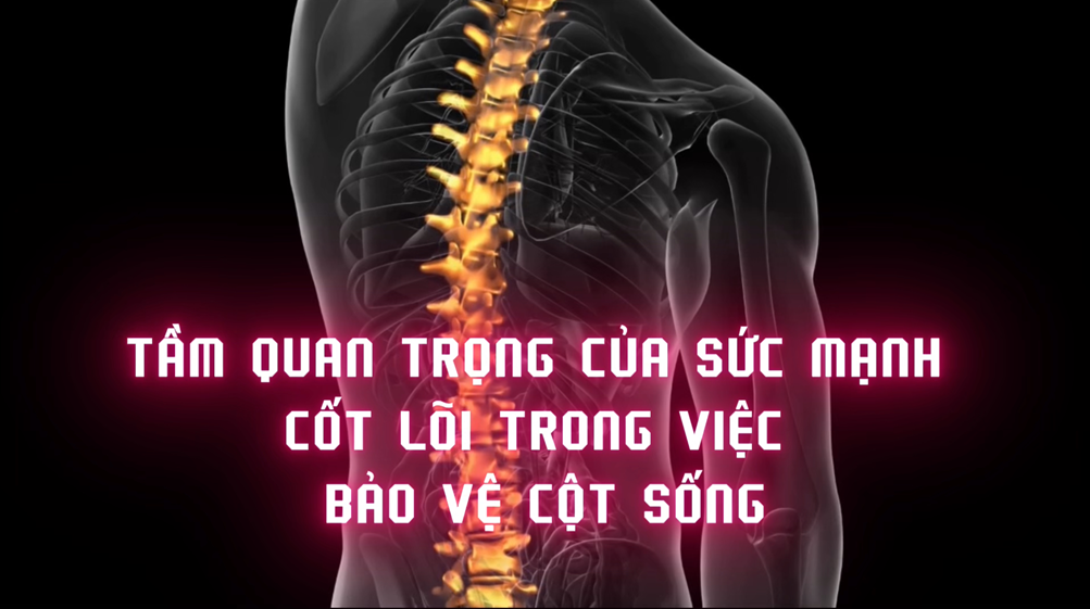 Tầm Quan Trọng Của Sức Mạnh Cốt Lõi Trong Việc Bảo Vệ Cột Sống (Bài 16)