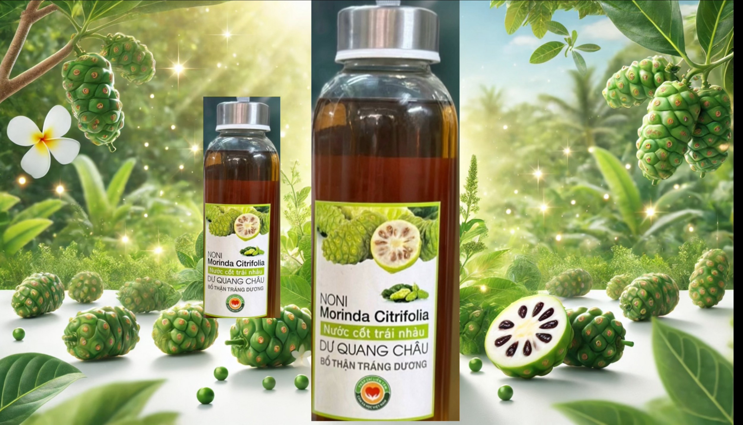 RƯỢU NHÀU DƯ QUANG CHÂU | YDUOCHOCCOTRUYEN.VN