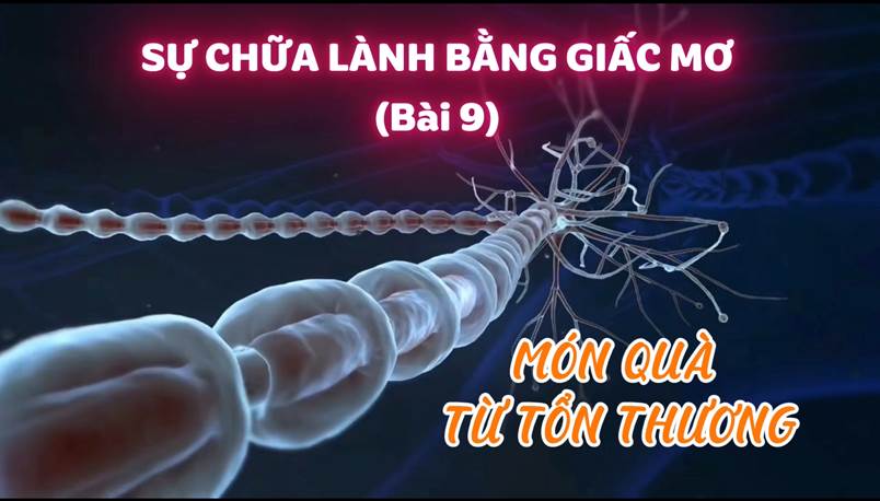 Không có đau đớn nào vô nghĩa. Mỗi tổn thương đều mang theo một món quà — nếu ta biết cách mở nó (Bài 09)