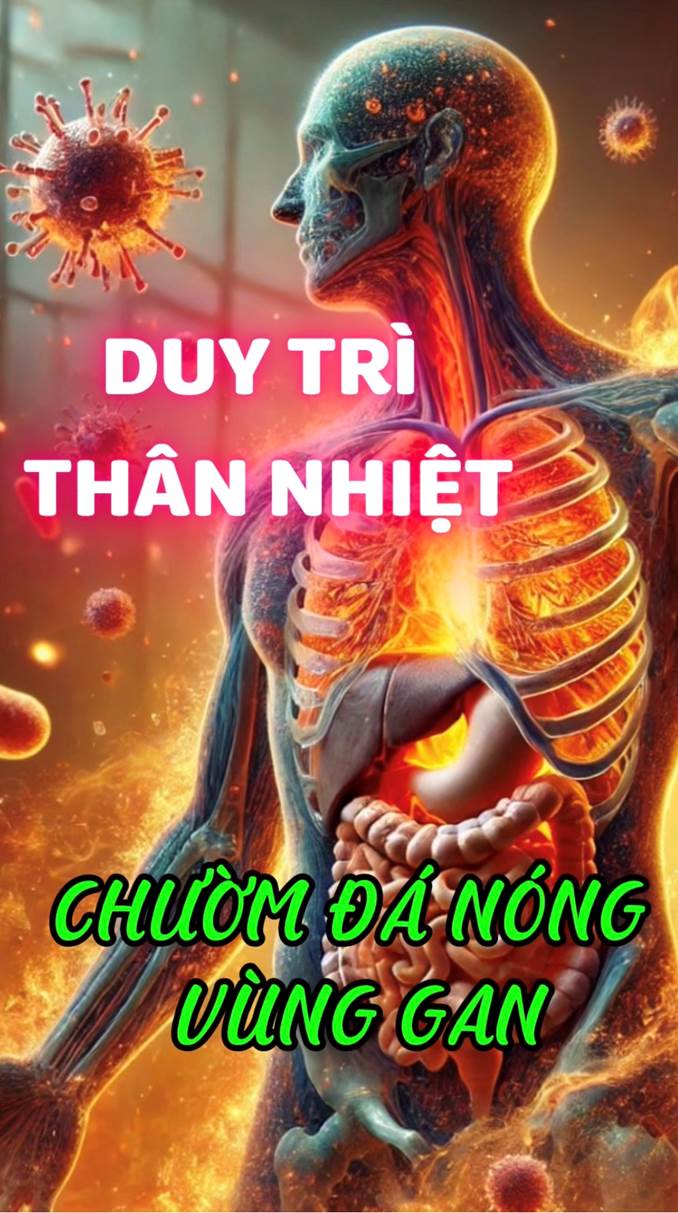 Chườm Đá Nóng Vùng Gan – Cách Đơn Giản Giữ Thân Nhiệt Ổn Định (Bài 40)