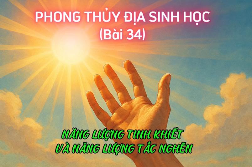 Nhận Biết Năng Lượng Tinh Khiết Và Năng Lượng Tắc Nghẽn (Bài 34)