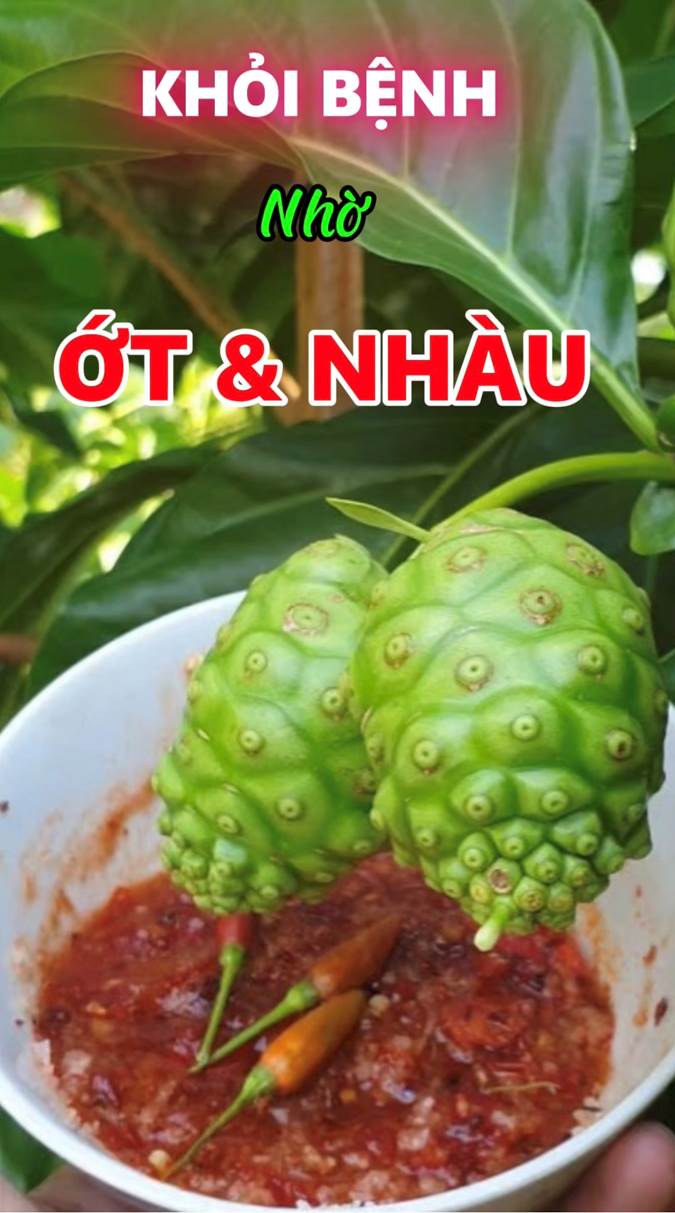 Ca Ngợi Kết Quả Của Nhàu Và Ớt (Bài 55)