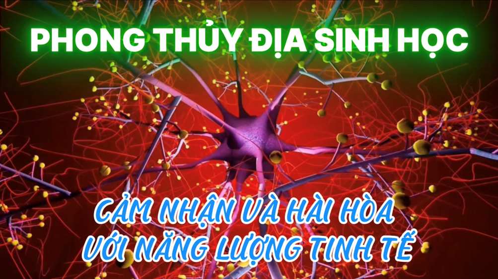 CHUYÊN ĐỀ PHONG THỦY ĐỊA SINH HỌC (Phần 2)