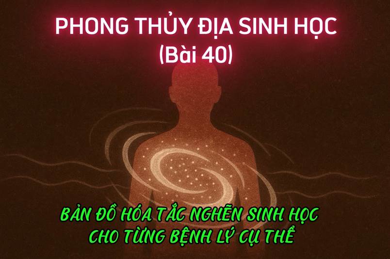 Bản Đồ Hóa Tắc Nghẽn Sinh Học Cho Từng Bệnh Lý Cụ Thể (Bài 40)