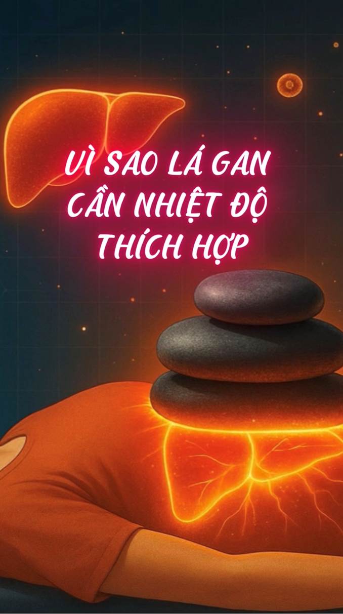 Vì Sao Lá Gan Cần Nhiệt Độ Thích Hợp Để Bảo Vệ Toàn Bộ Sức Khỏe? (Bài 42)