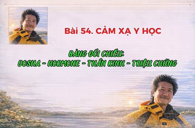 Bảng Đối Chiếu: Dosha – Hormone – Thần Kinh – Triệu Chứng (Bài 59)