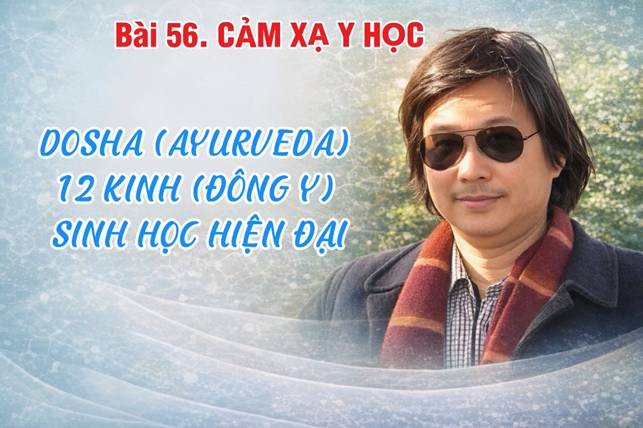 Bảng Tích Hợp 3 Hệ : Dosha (Ayurveda) – 12 Kinh (Đông Y) – Sinh Học Hiện Đại (Bài 61)