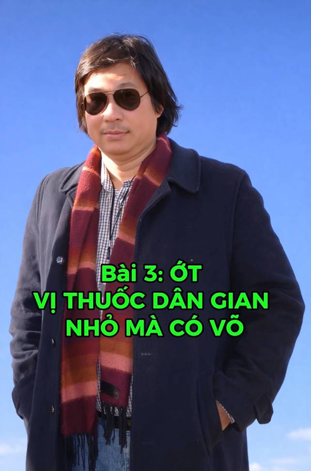 Bài 3: Ớt – Vị Thuốc Dân Gian Nhỏ Mà Có Võ