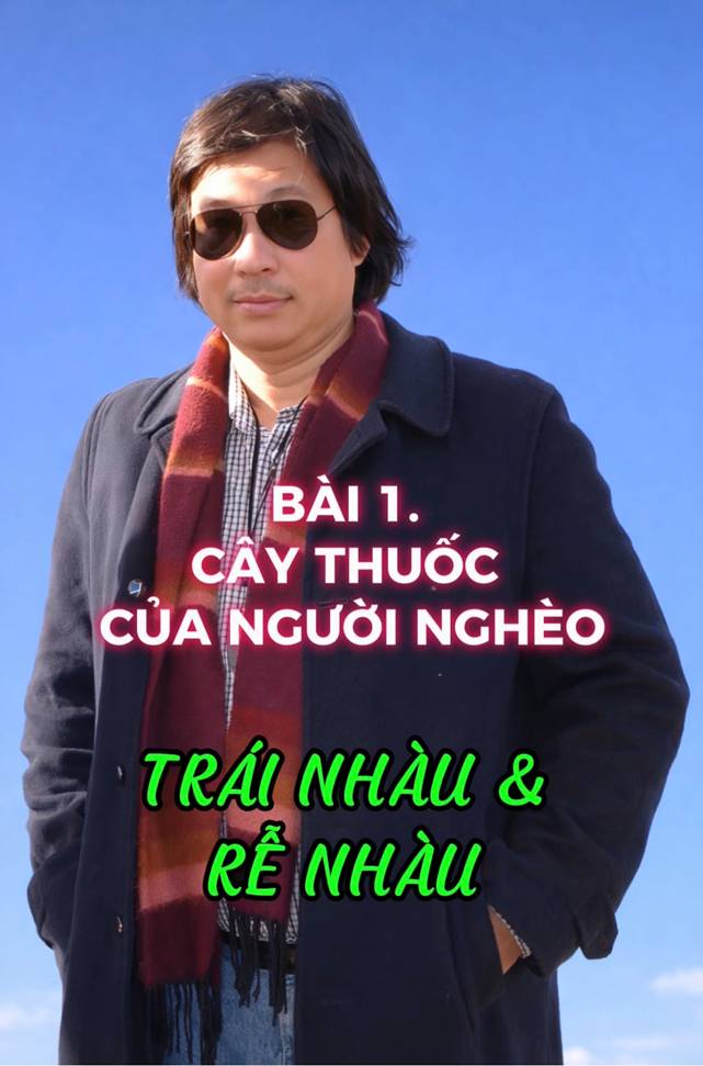 BÀI 6. Cây Thuốc Của Người Nghèo